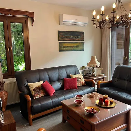 Αετοφωλιά-Aetofolia Tatil Evi *